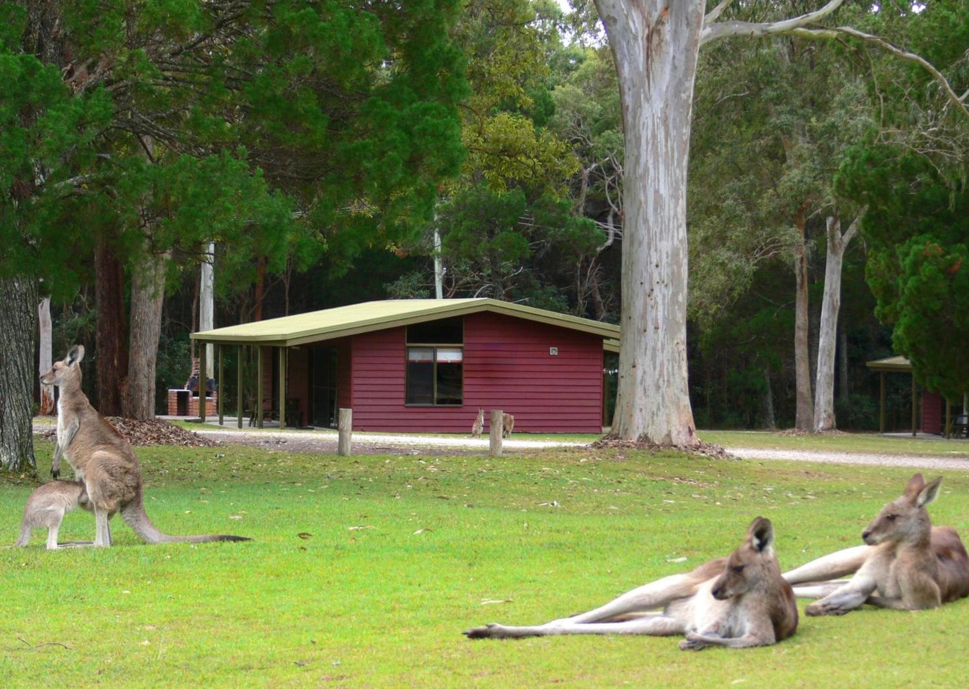 Big4 Noosa North Shore 外观 照片